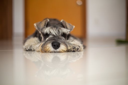 三、重視地理實踐