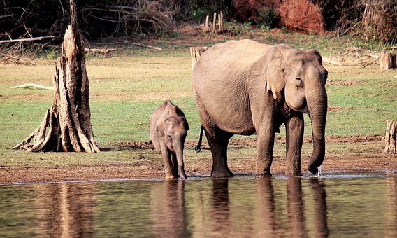 ���ӽ�����������ˡ�����ٍ�X�ͱ��ֽ�����ÿ�����길ĸ��ؓ����Ҫ؟(z��)�Ρ�