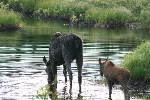 各個班級針對本班級情況作詳細的分析,確定...