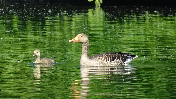 �ڌ��Hʹ���У��p�s��ԇ���Ĳ������EҲ�ǳ�...