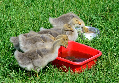 30��Һ�w�^�V�����е�������(1)�A���VҺ�r...