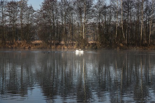 ��Q�������۱����ٺͺ���ʹ���֙C