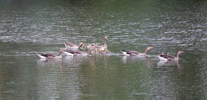 �ʘ�����ه