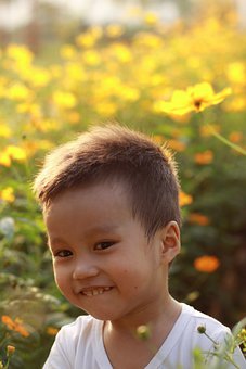 AΌʩW(xu)(x)Ӌ(yng)֞ںLĿ(bio)...