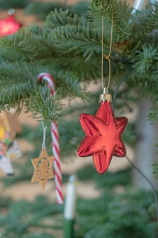 培養孩子的自我管理能力