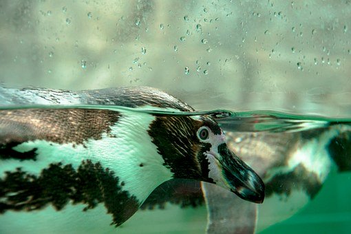 單詞中個(gè)別發(fā)音記單詞法:抓住特別的音符