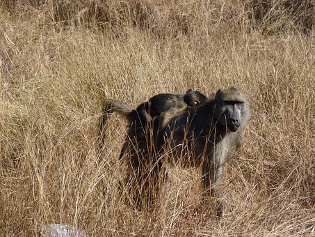 ��ָ呟��c�����_�l