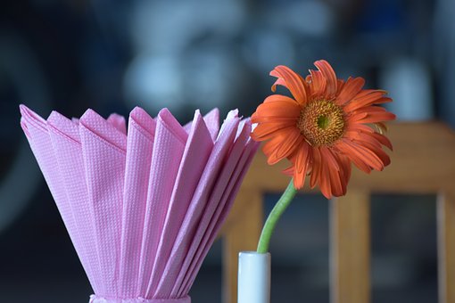 тĵ@ഺڵ...