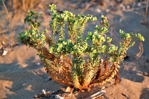 系統復習的方法也是多樣的。