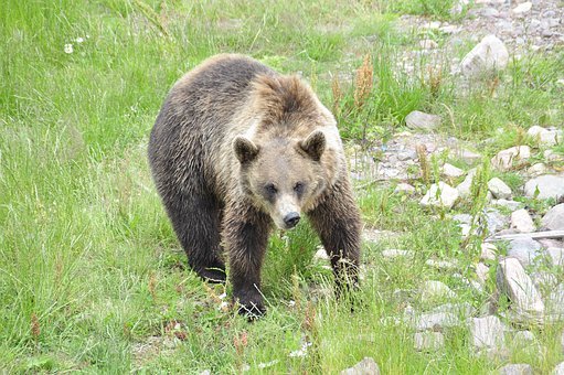 ����������ǾS�����B(t��i)���е��P(gu��n)�I���W?�����d�ġ������Ķ����ԡ�����̽ӑ����������Եărֵ�ͱ��o(h��)���x��ͨ�^��x�������������������˽⵽��ͬ����֮�g���໥�P(gu��n)ϵ���Լ����o(h��)��������Ԍ��ھS�o(h��)���B(t��i)���к����������Ҫ���á�