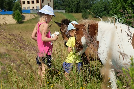 以上是幾天聽課諸多收獲,相信會在今后的教...