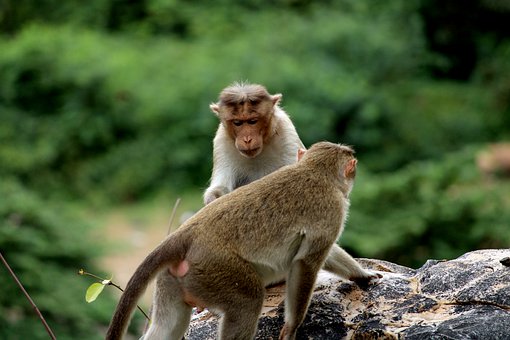 ���ӵą��W��ν�Q