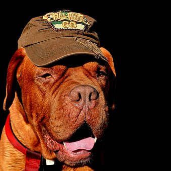 ҪҔrӋ(j)ֵЃɂ(g)uǰ...