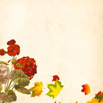 1、能寫簡單的記實作文和想象作文,做到內...