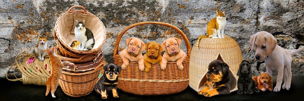 4. 你認為孩子聽話嗎?