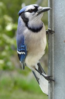 ���L��ν�Q���Ӆ��W���}