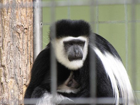 ����c��ͨ