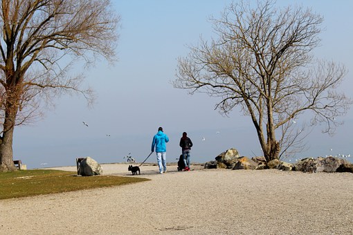 分數絕非衡量一個孩子優秀與否的唯一標尺,...