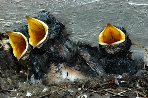 ��麢�ӣ����⽹�]