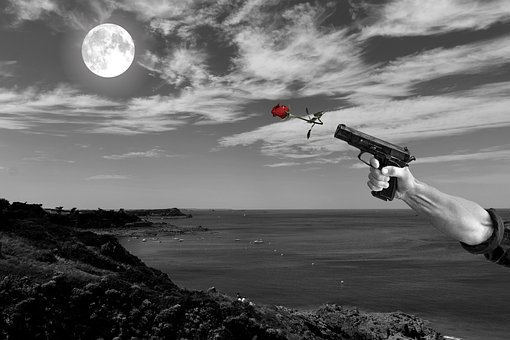 2、物質(zhì)準(zhǔn)備: