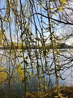 健康父母的態(tài)度
