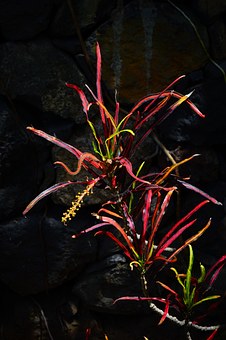 提供良好的學習環境