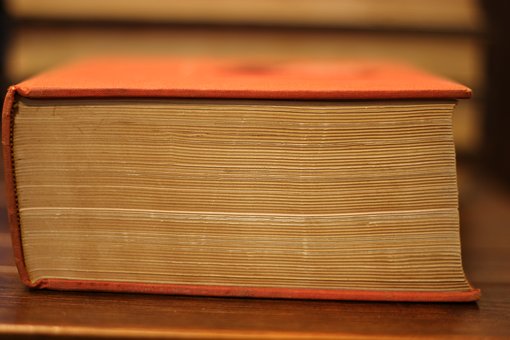 ��ĸ��(y��ng)��ȡ�Ĵ�ʩ