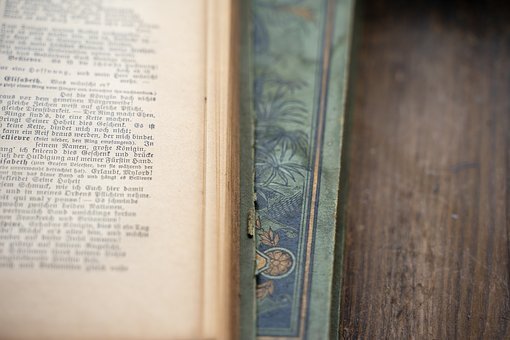 鼓勵參加學校組織的活動