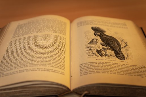 生物要求回答產生ATP的場所,一般都是細胞...