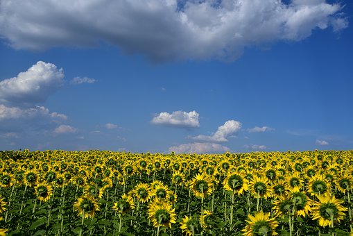 孩子高一早戀怎么開導(dǎo)