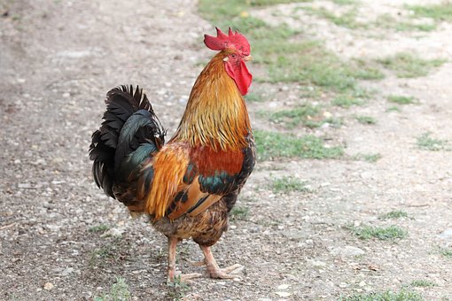 ߿Z(y)ĹԊ(sh)~bpY(ji)