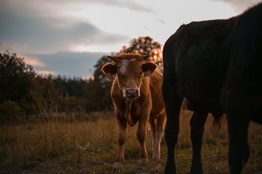 提高孩子的注意力的方法