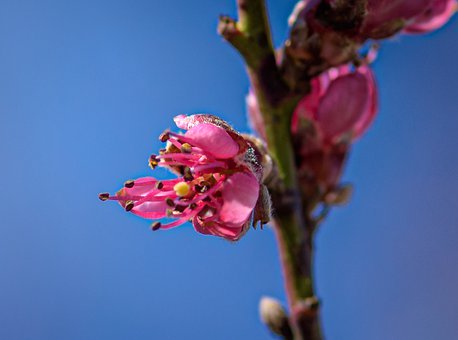 孩子反反復復不想上學怎么辦