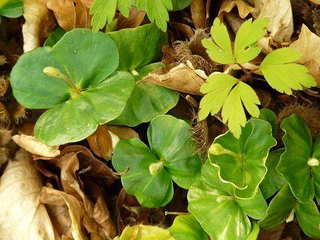 2010��߿�ʮ��͘I�ʸߵČ��I�P�c