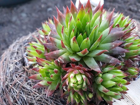 ���к���ĥ����ô�k