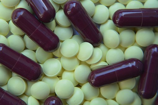 �㶨�h�Z��Ѫ��ľ��A--���Z--���������������Z�ČW(xu��)��(x��)����֮��