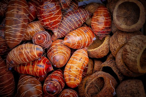 ���L���P�ĵ����С������־Ը����}