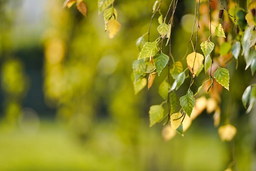 ���}�о����ҽ��x����2010�߿��vʷ