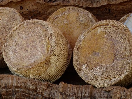 五年級女孩不想上學怎么辦