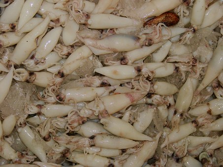 如何提高學生成績?