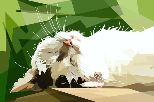 鼓勵孩子表達自己的想法和意見