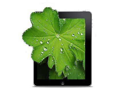 Ą(l)M(jn)Є(chung)ԵΑͻ(dng)