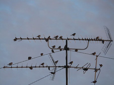 ʯ�͹��̣����ھ͘I��97%