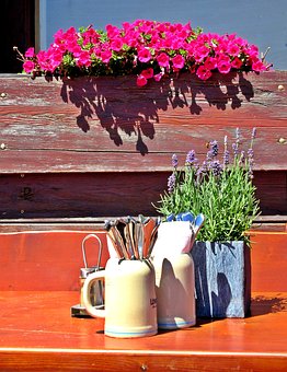 樹立正確的價值觀