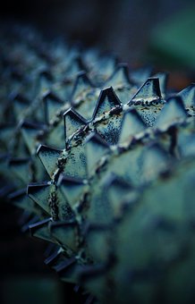 ��x���Էe�ی����زģ������S��֪�R���_�...