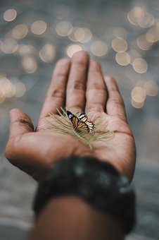 篇4:高效輔導(dǎo)孩子作業(yè)的策略