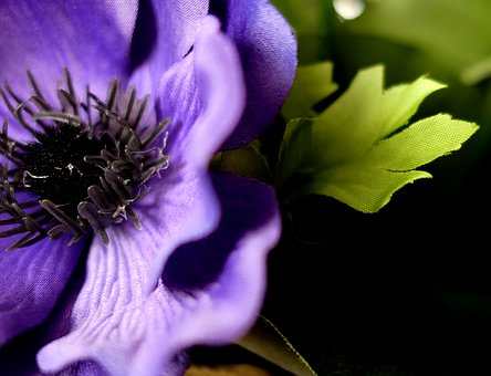 2.���C�ס�����ʳ���o����ּ�����