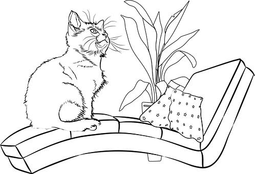 ���������ҵ��w�ٸ�