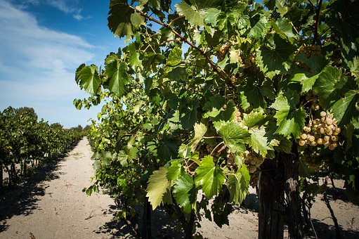 打罵孩子:傷害自尊心,影響未來