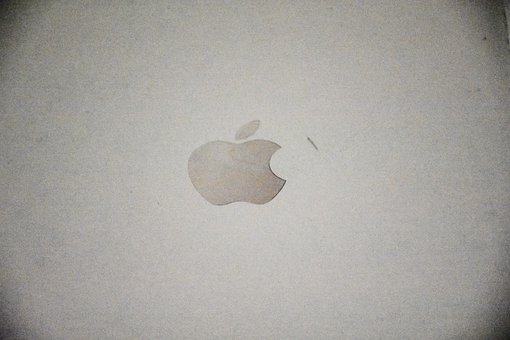 ��ͥ��������Ҫ�Լ������ӌW�����T�����B(y��ng)